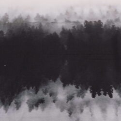 Baumwoll - Panel - French Terry