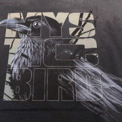 Baumwoll - Panel - French Terry