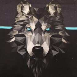 Baumwoll - Panel - French Terry